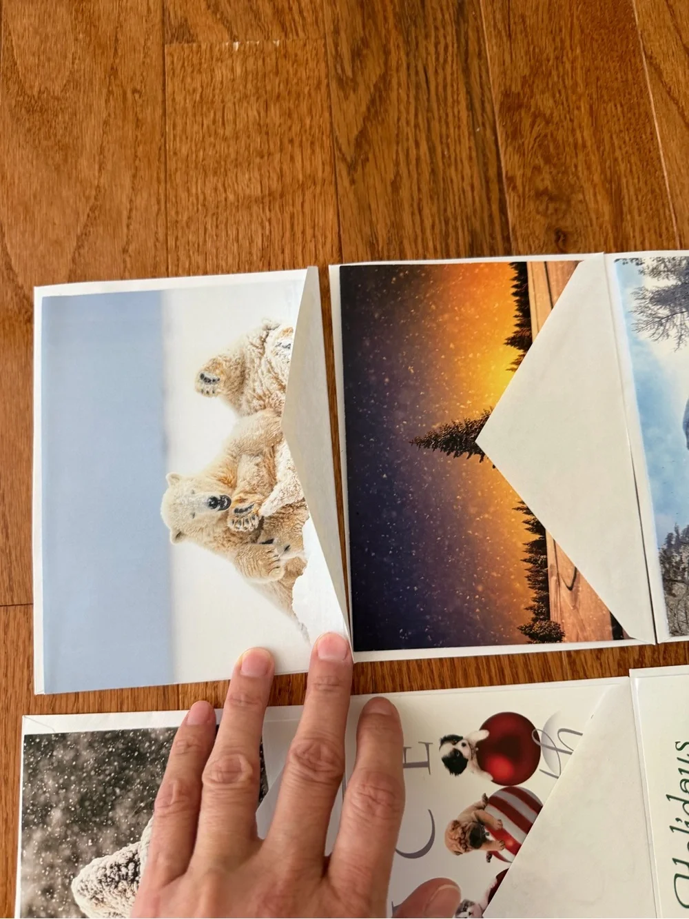 New Assorted Christmas & Holiday Greeting Cards Set of 10 with Envelopes